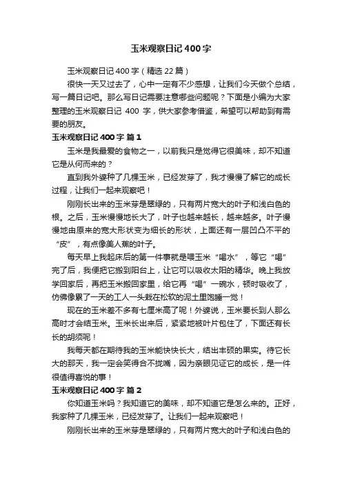 玉米观察日记400字（精选22篇）
