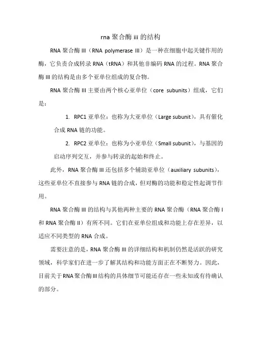 rna聚合酶iii的结构