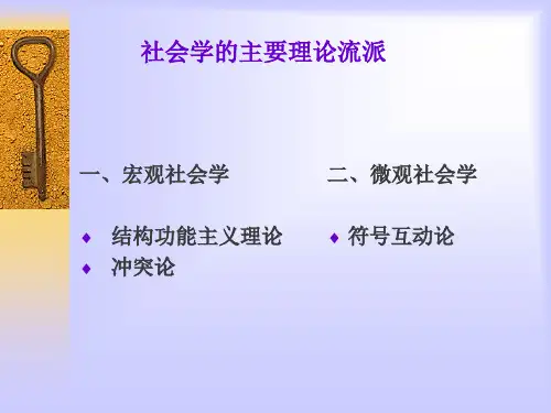 社会学第二讲：社会学的主要理论视角.ppt