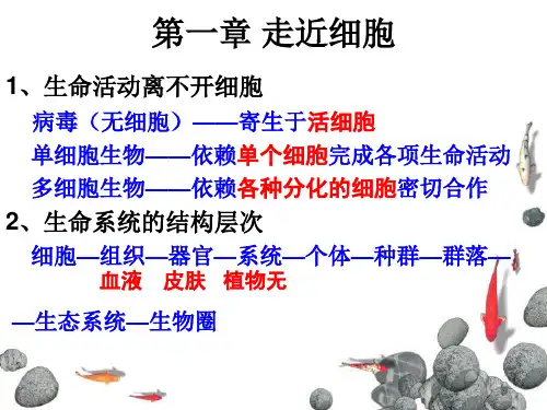 苏教版高中生物必修一和必修三全部课件