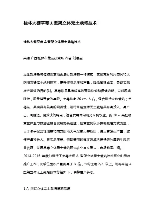 桂林大棚草莓A型架立体无土栽培技术