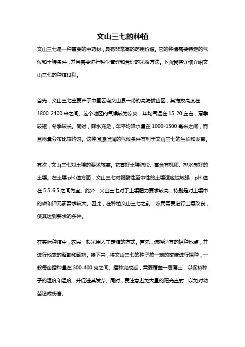 文山三七的种植