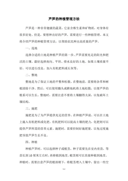 芦笋的种植管理方法