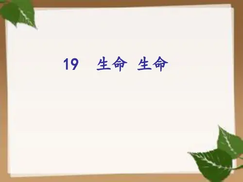 《生命生命》说课PPT