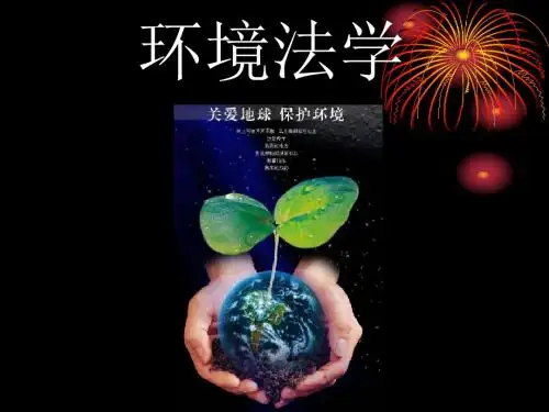 环境法公开课-PPT课件