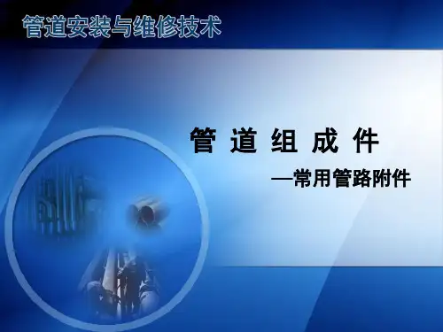 管道组成件—常用管路附件