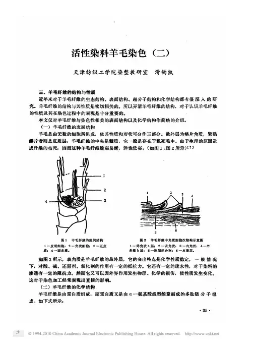 活性染料羊毛染色_二_