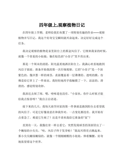 四年级上,观察植物日记