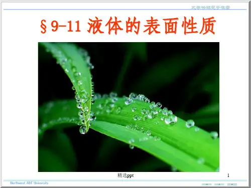 《液体表面的性质》PPT课件