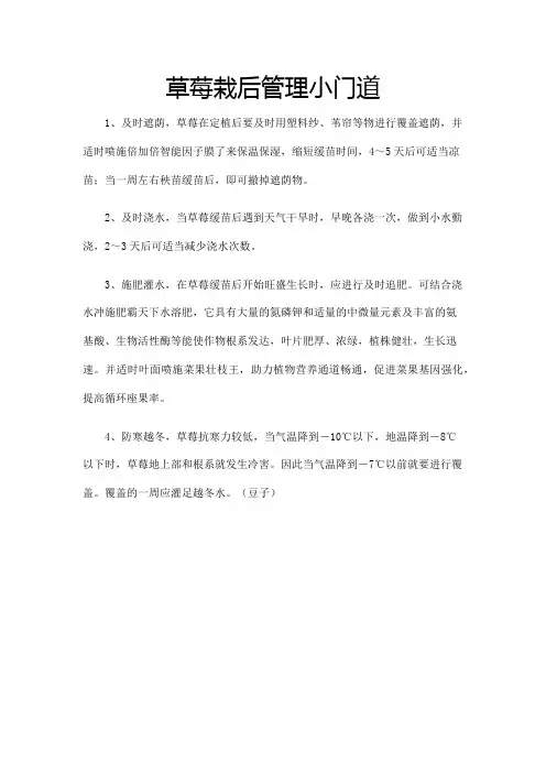 草莓栽后管理小门道