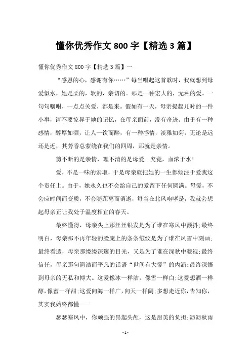 懂你优秀作文800字【3篇】