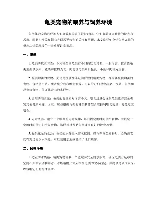 龟类宠物的喂养与饲养环境