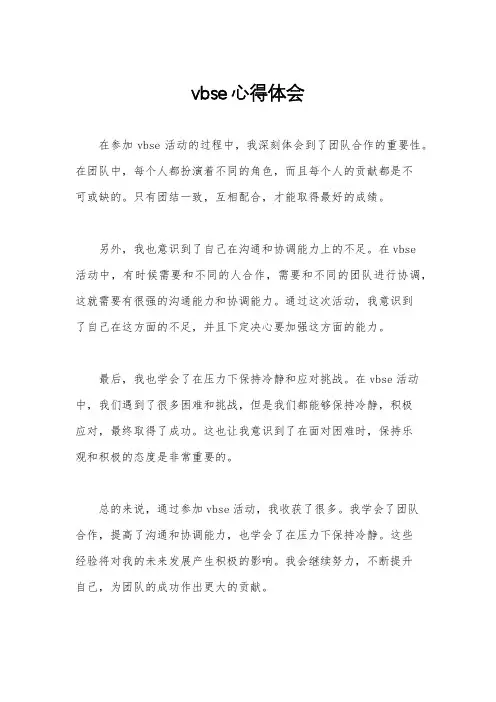 vbse心得体会