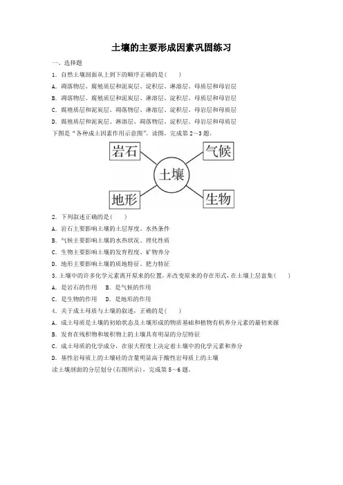 《土壤的主要形成因素》巩固练习2
