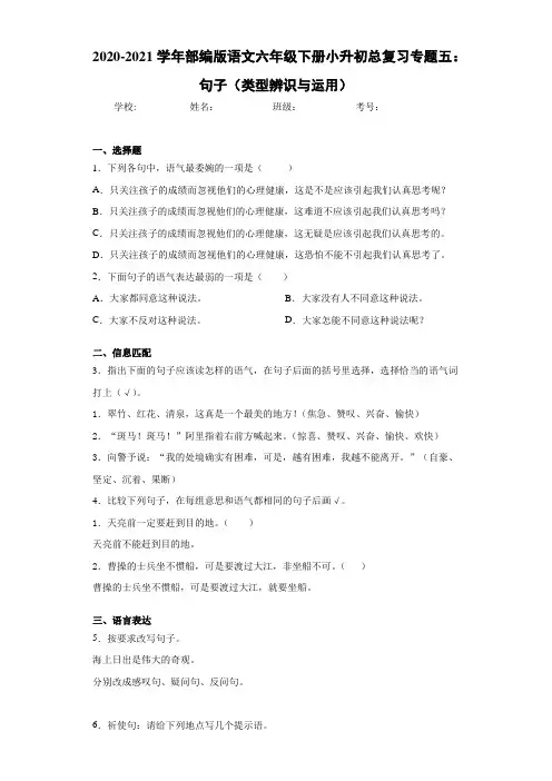 2020-2021学年部编版语文六年级下册小升初总复习专题五：句子(类型辨识与运用)