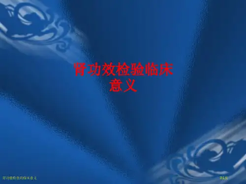 肾功能检查的临床意义