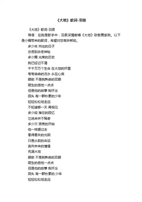 《大地》歌词-羽泉
