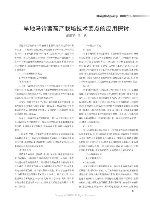 旱地马铃薯高产栽培技术要点的应用探讨