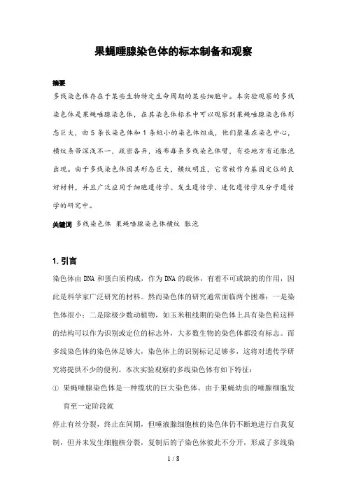 果蝇唾腺染色体的标本制备和观察