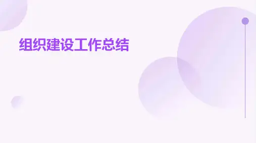 组织建设工作总结PPT
