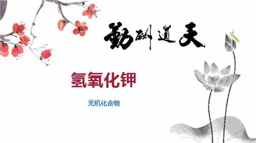 氢氧化钾    
