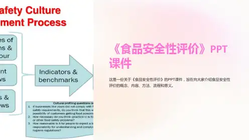 《食品安全性评价》课件