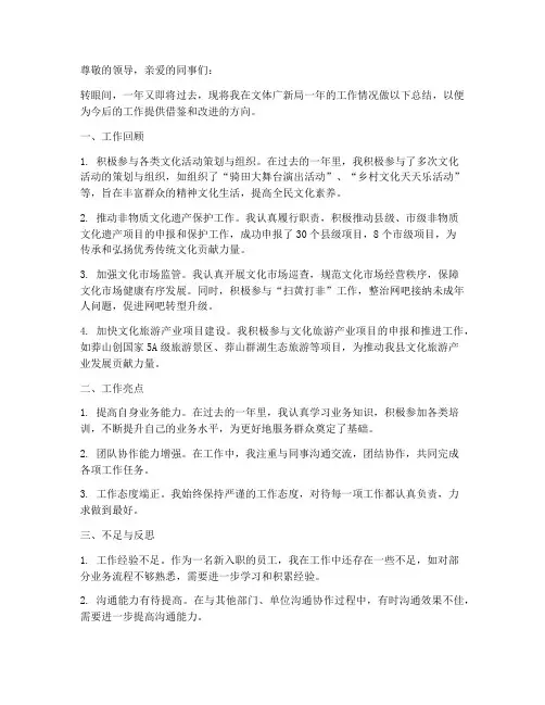 文体广新局个人工作总结