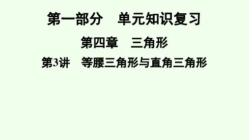 2021年广东省深圳市数学中考专题复习课件 等腰三角形与直角三角形