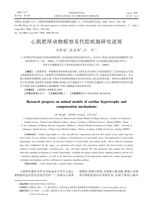 心肌肥厚动物模型及代偿机制研究进展