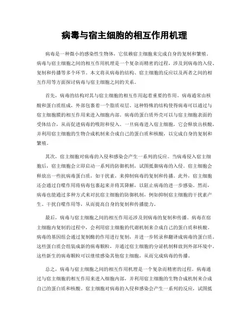 病毒与宿主细胞的相互作用机理