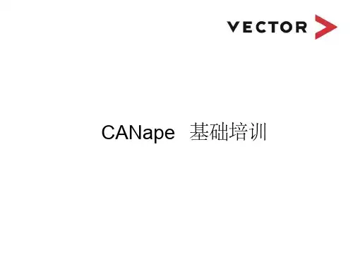 CANape培训教程2020(最新)