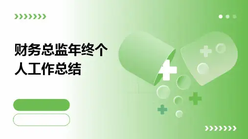 财务总监年终个人工作总结PPT