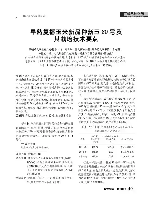 早熟复播玉米新品种新玉80号及其栽培技术要点