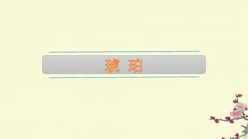 5《琥珀》  课件(共22张PPT)