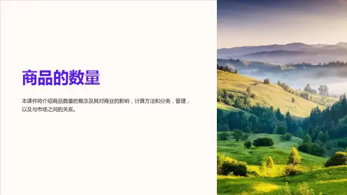 《商品的数量》课件