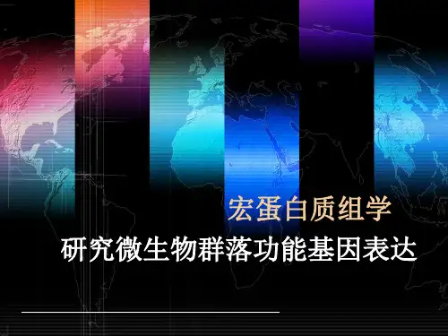 宏蛋白质组学