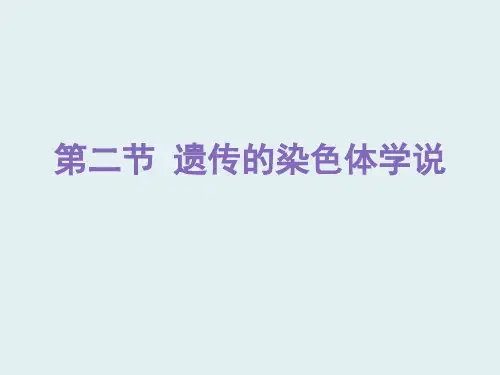 浙科版生物必修2  3.2遗传的染色体学说(共19张PPT)