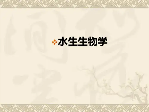 藻类概述