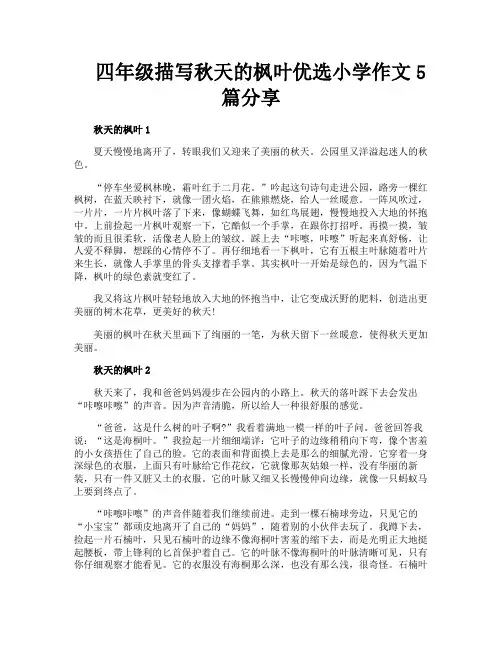 四年级描写秋天的枫叶优选小学作文5篇分享