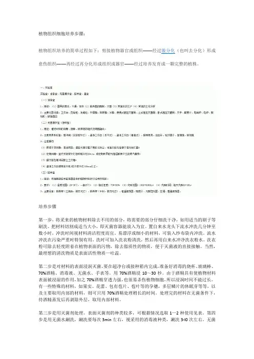 植物组织细胞培养