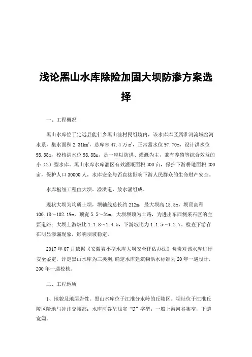 浅论黑山水库除险加固大坝防渗方案选择