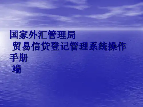 国家外汇管理局贸易信贷登记管理系统操作手册企业端PPT