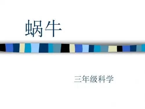 教科版三年级科学上册蜗牛(一)公开课优秀课件及说课课件