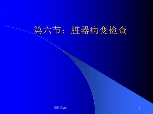 肝功能试验PPT课件