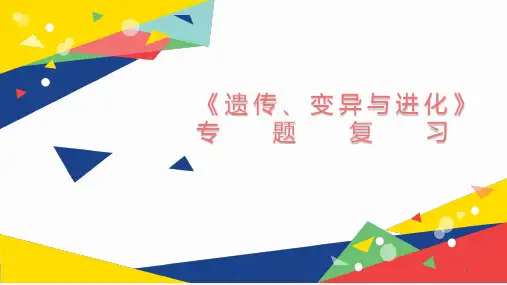 高中生物遗传、变异与进化专题复习公开课精品课件