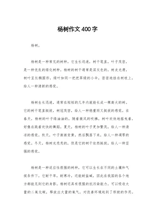 杨树作文400字