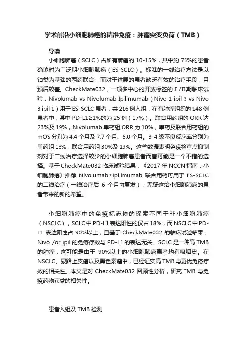 学术前沿小细胞肺癌的精准免疫：肿瘤突变负荷（TMB）