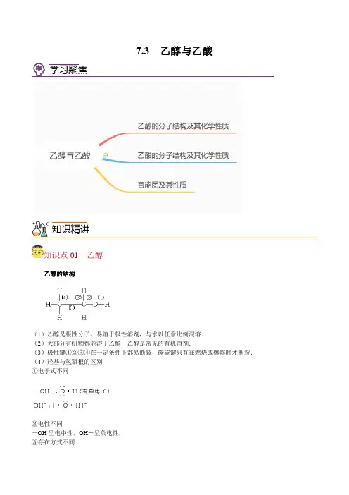 7.3乙醇与乙酸高一化学精品讲义(沪科版2020)(学生版)