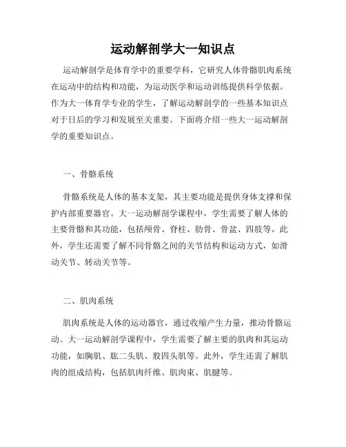 运动解剖学大一知识点