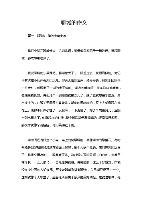 聊城的作文